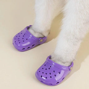 Crocs para Cachorro - EstiloCroc™