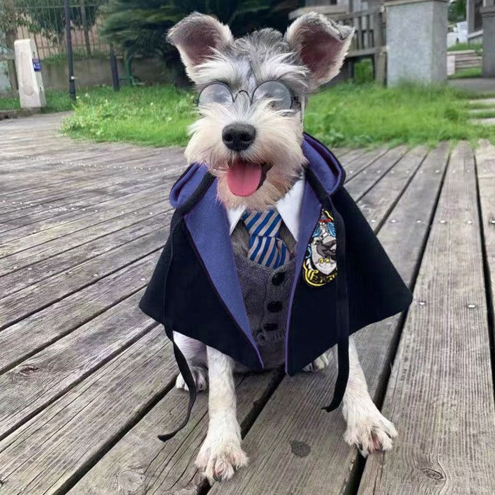 Roupa Fantasia para Pet do Harry Potter