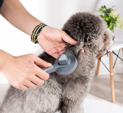 Removedor de Pelos Pet - PetHair Remover