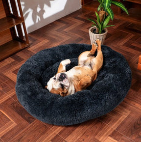 Cama Para Cachorro e Gato - Caminha Nuvem