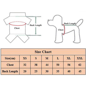 Roupa para Cachorro - Suéter Pelo Chique