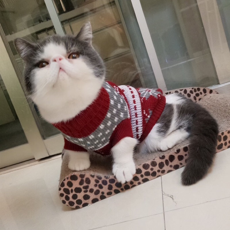 Suéter Roupa para Gato Quentinho