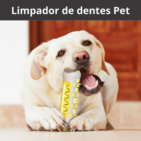 Dogs Clean-Limpador de dentes para cães