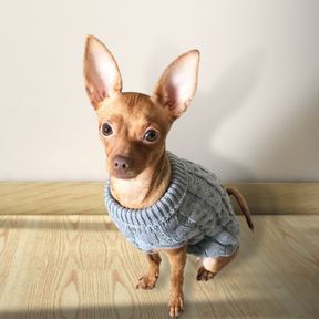 Roupa para Cachorro e Gato - Suéter Aconchegante de Gola Alta