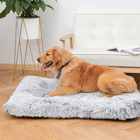 Cama para Cachorro de Porte Grande Nuvem Plus Size