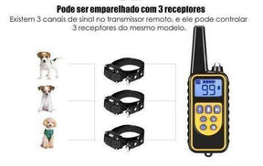 Coleira Adestramento Elite para Cães - ProTrain