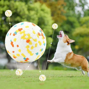 Brinquedo Resistente para Cães: FeraFlex™