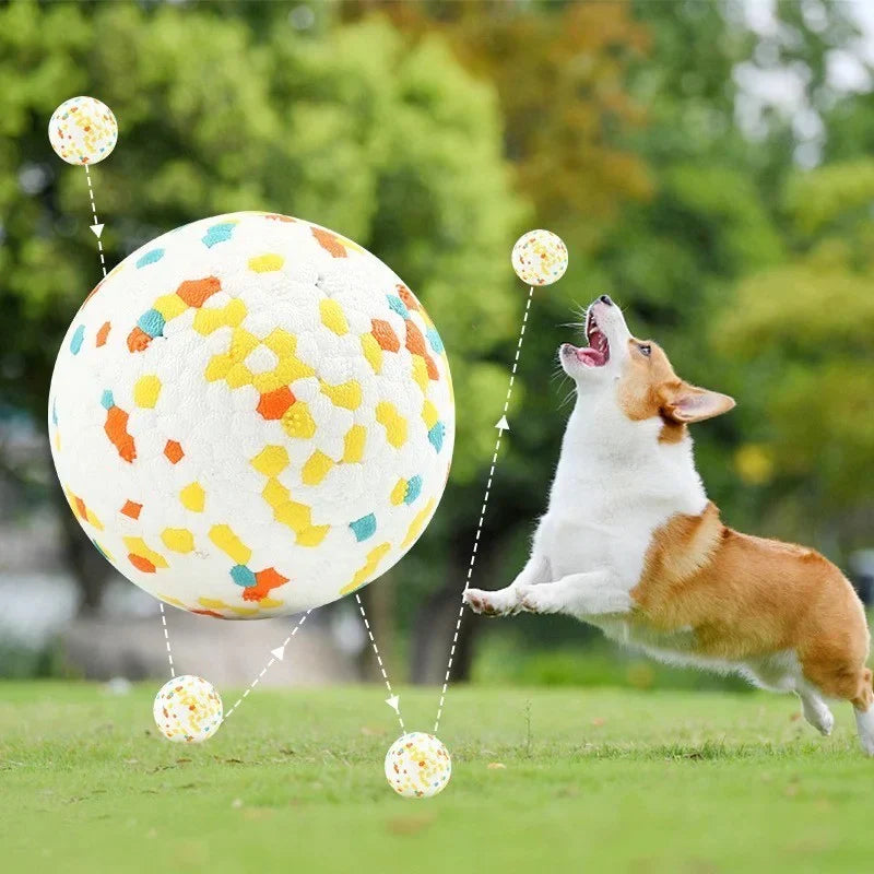 Brinquedo Resistente para Cães: FeraFlex™