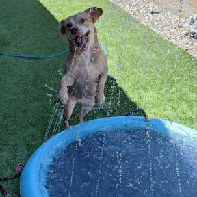 Piscina com Chafariz Para Cachorro RefrescaTudo™