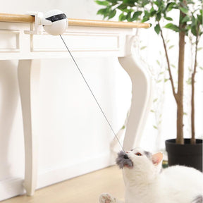 Brinquedo Para Gatos - Flying Ball